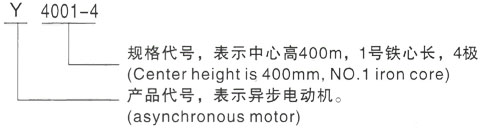 西安泰富西玛Y系列(H355-1000)高压YKS5005-8-500KW三相异步电机型号说明