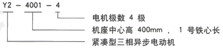 YR系列(H355-1000)高压YKS5005-8-500KW三相异步电机西安西玛电机型号说明